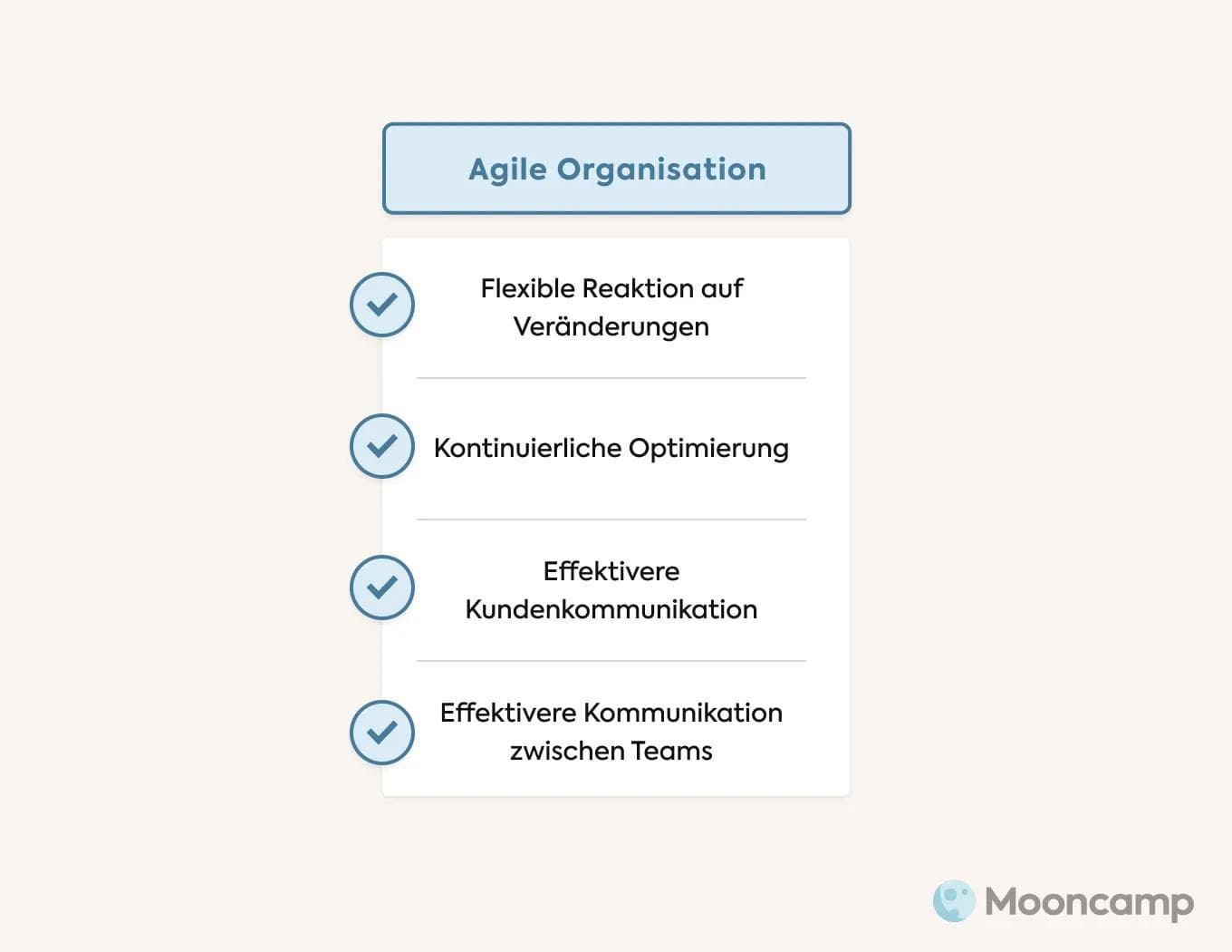 Agile Organisation Vorteile
