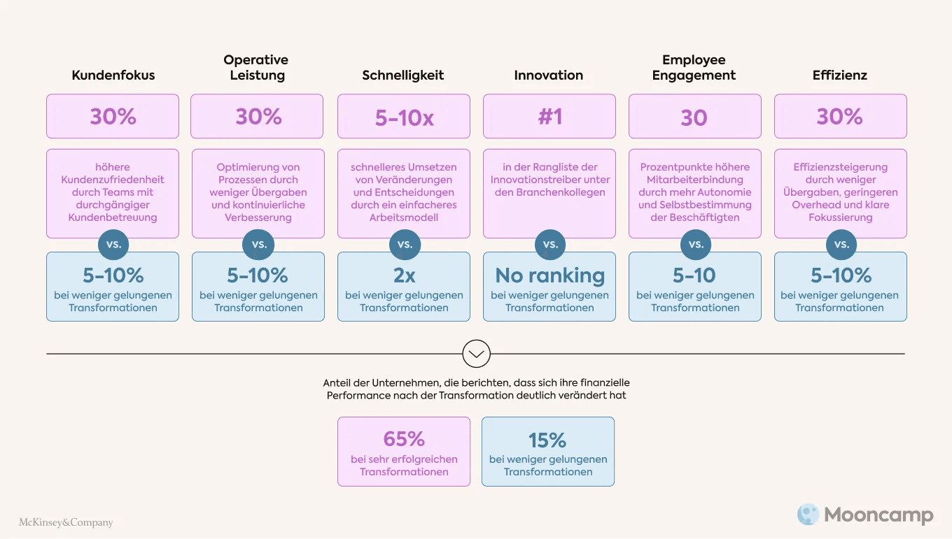McKinsey Agilität Statistik