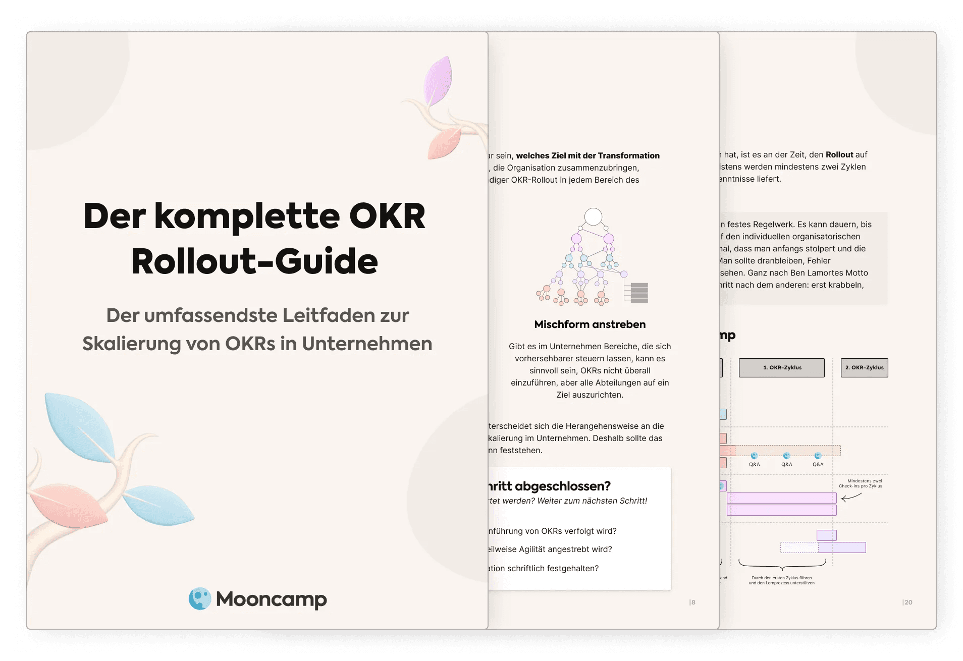 OKR Rollout Guide