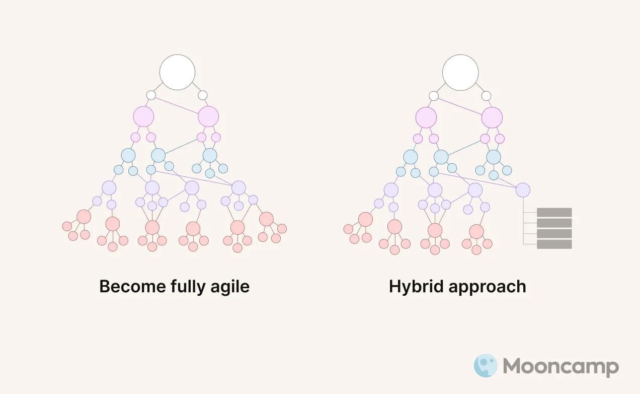 Goal of OKR introduction